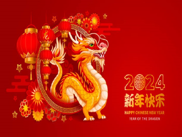 Chinese Spring Festival Holiday Notice