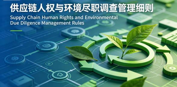 Supply Chain Human Rights and Environmental Due Diligence Management Rules